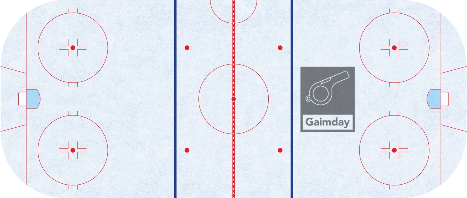 Hockey Rink Lines Explained (with Images)