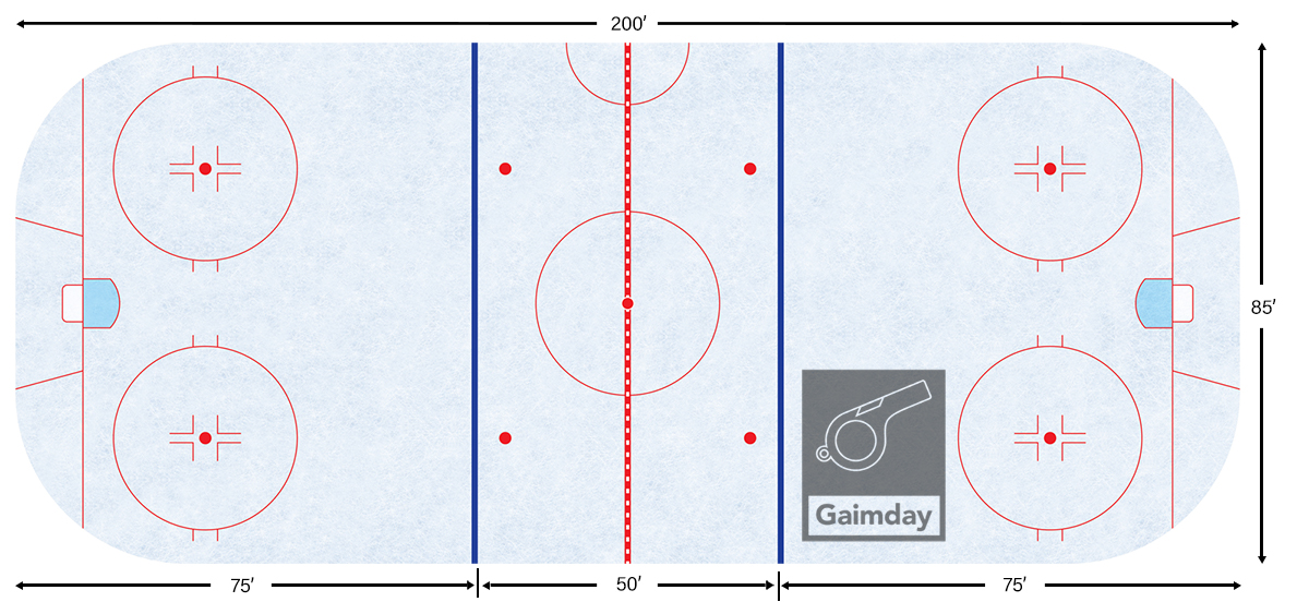 rink dimensions
